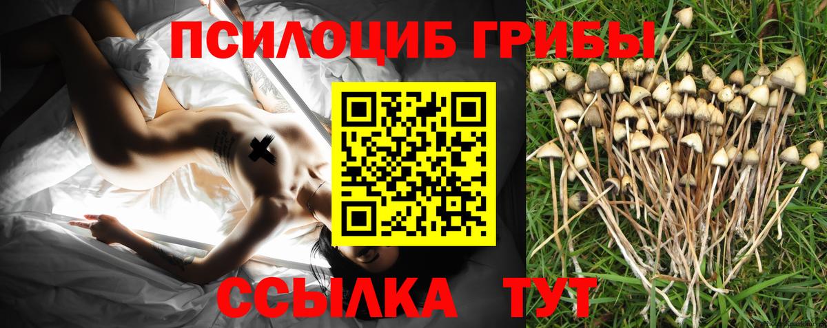 Псилоцибиновые грибы мицелий Карпинск